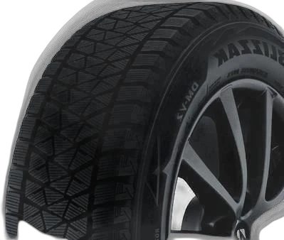 Bridgestone Blizzak DM-V2