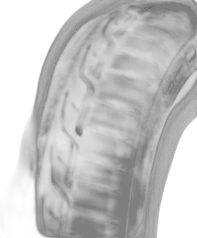 Dunlop SP Sport Maxx RT