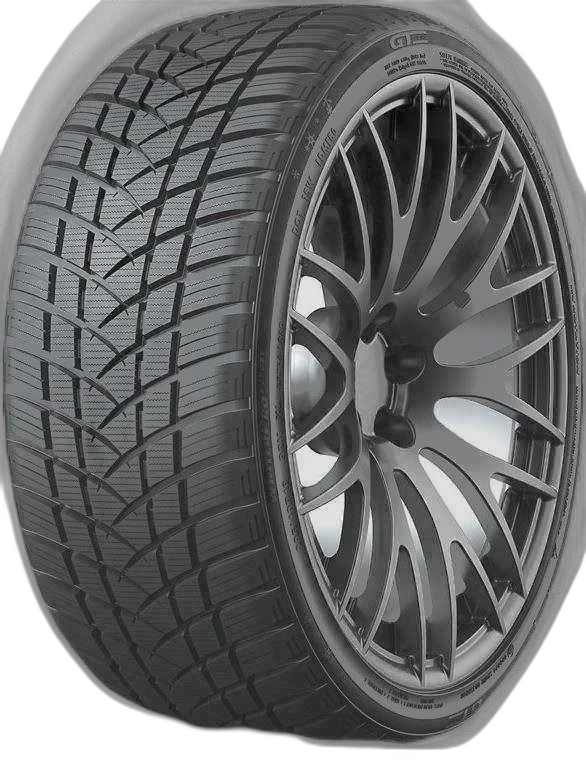 GT Radial WinterPro2 Sport