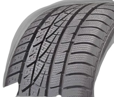 Hankook Winter i*cept evo W310