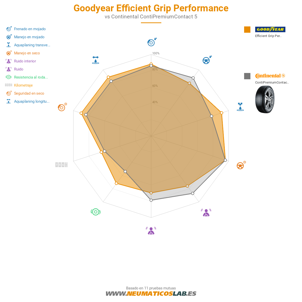 Goodyear Efficient Grip Performance Imagen