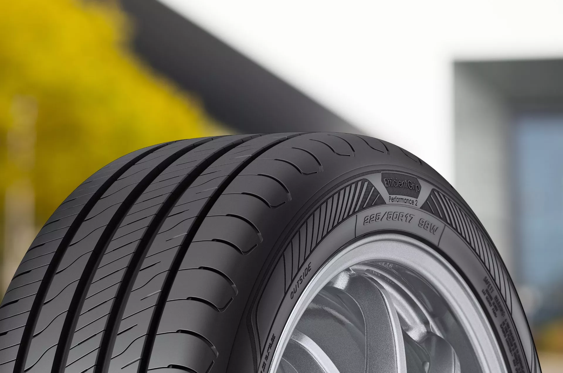 Goodyear Efficient Grip Performance 2 Imagen