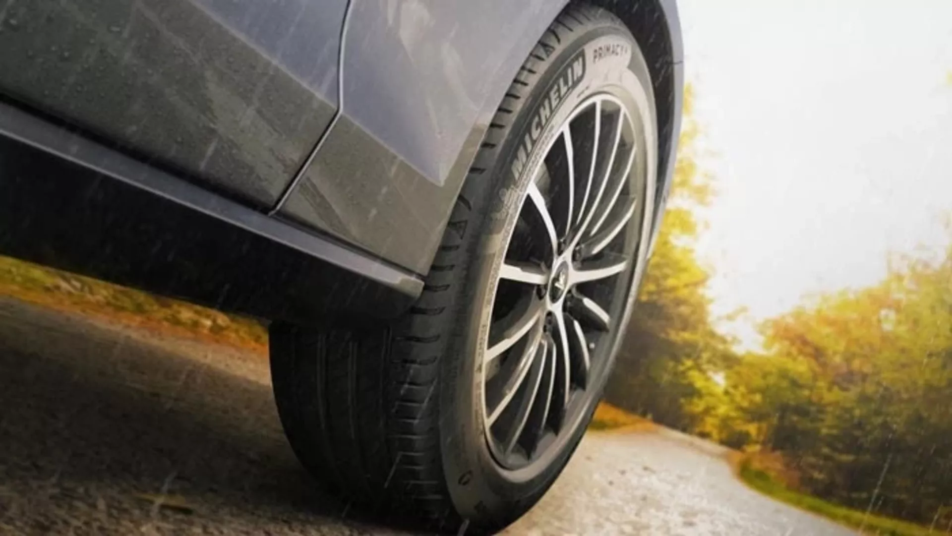 Michelin Primacy 4 Imagen