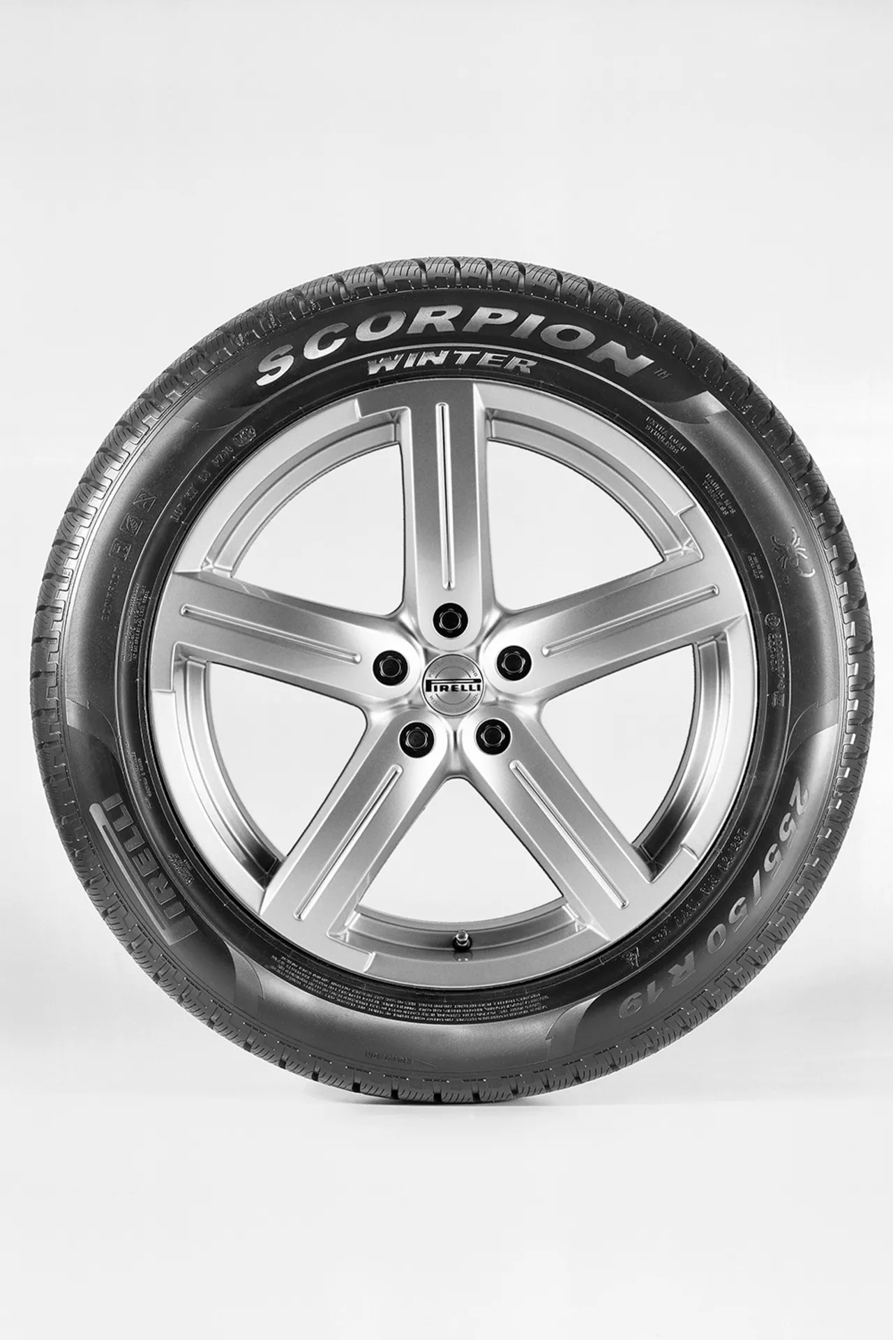 Pirelli Scorpion Winter Imagen